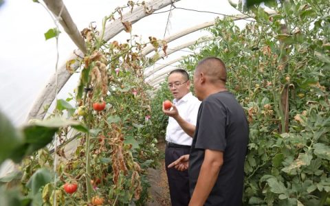 张德芹赴威宁调研乡村振兴帮扶工作：因地制宜推动“黔货出山”