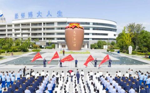 第八届洋河·双沟头排酒开窖节：深耕“头排”价值，锻造穿越周期的力量