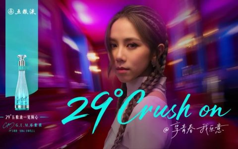 29°五粮液，让年轻消费者“一见倾心”！
