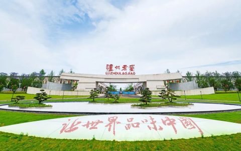 泸州老窖的关键时刻，没有中间选项