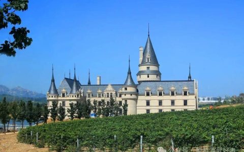 张裕交出前三季度业绩答卷，营收仅完成2025全年目标62%