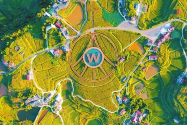 W020251029665745369769_ORIGIN