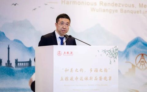 五粮液“大国浓香”绽放多瑙河畔 中匈共品和美文化