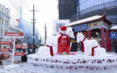 打造生肖雪雕助力冰雪婚礼 古井贡酒举办系列活动赴“冰雪之约”