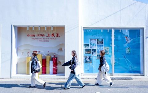 携手APEC，五粮液以“和美”之道叩响世界之门