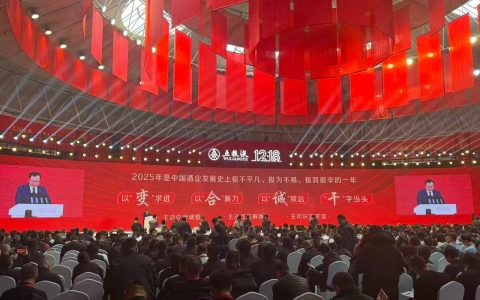 曾从钦：锚定五统筹、三夯实、五拓展发战略