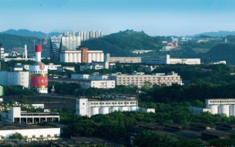 五粮液入选“创建可持续品牌”愿景倡议代表性案例（2025） 东方智慧贡献全球发展新范式