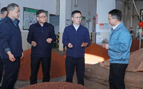 汪地强、万波调研造沙轮次生产工作