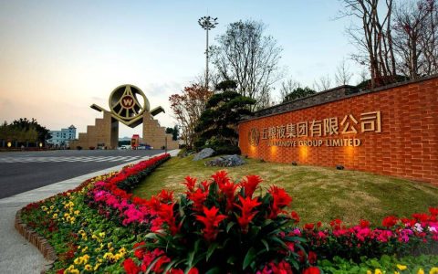 积极响应“一带一路”倡议，五粮液打造“一带一路”实践的“和美”样本
