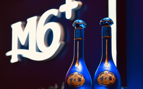 洋河梦之蓝M6+为您首席献映总台大剧《奇迹》