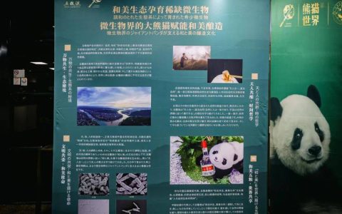 五大关键词全览2025年五粮液“和美全球行”日本站！