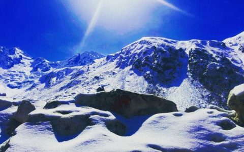 主动求变的茅台，会率先结束白酒调整周期吗？