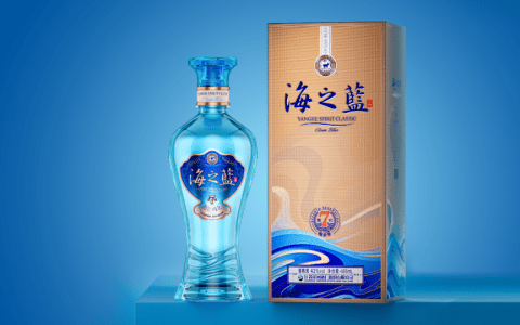洋河股份2025年度股东大会问答实录