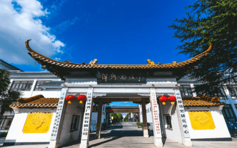 从“挤水分”到“筑底盘”，看洋河的“守”与“变”