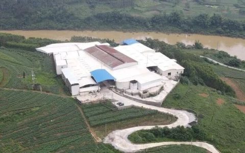 “毒地”上的酒厂：当“不应该”变成“应该”，损失已成定局